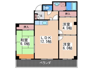 スパジオカーサの物件間取画像